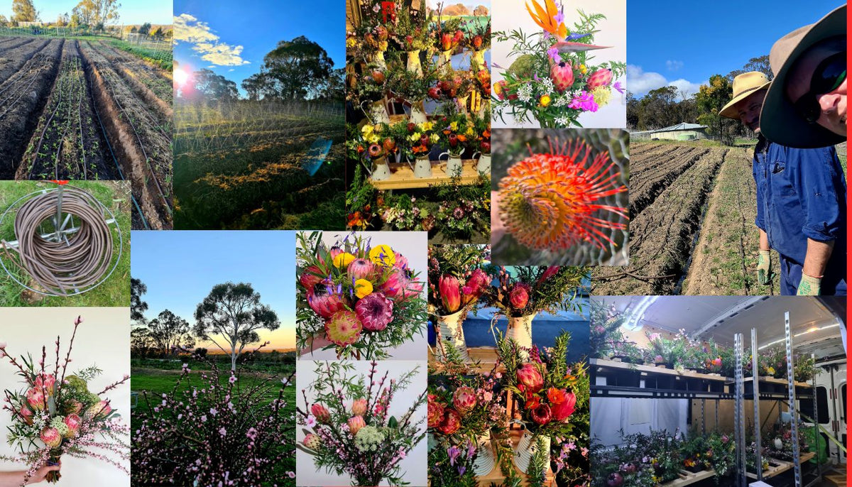 Photos of spring on the farm - blossom and flowers blooming, spring bouquets, fertilising and bed forming